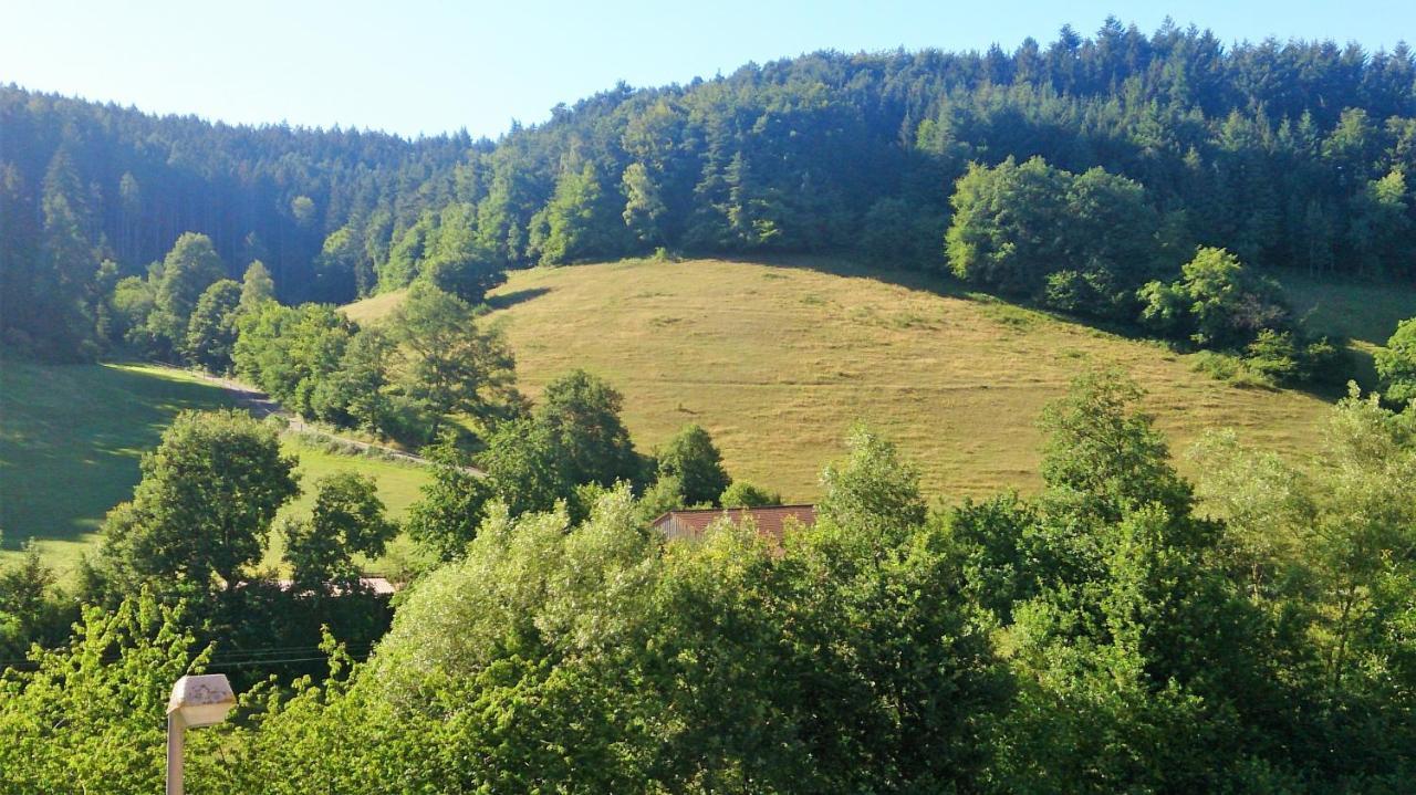 Hotel Gasthof Zur Krone Oberzent Εξωτερικό φωτογραφία